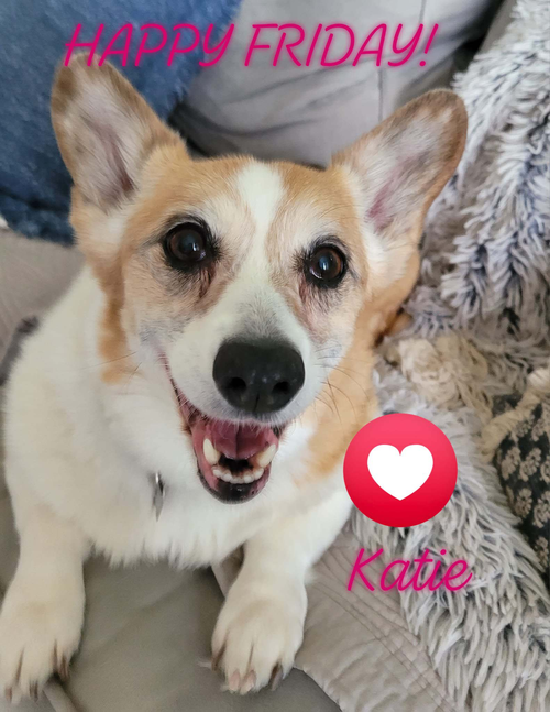 485305546_10232677298307695_41