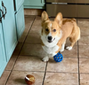 FB_IMG_1753056288173.png