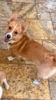 Screenshot_20250211-092705.png