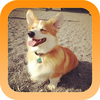 app-icon-rounded_thumb.png