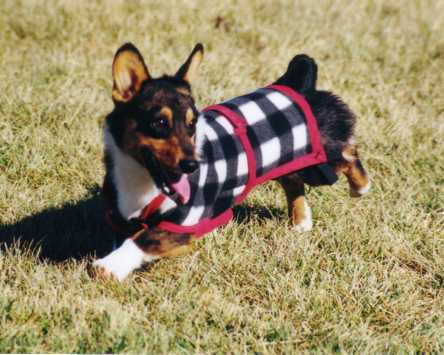 Buster
